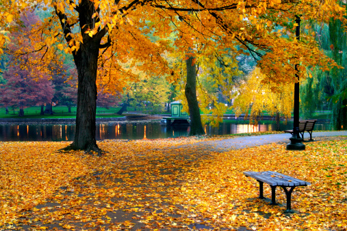 istock Autumn in Boston Public Garden 140383081