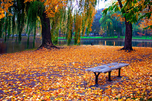 istock Autumn in Boston Public Garden 140383088