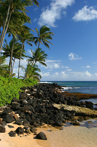 istock Kaua'i, Hawaii beach 140383150