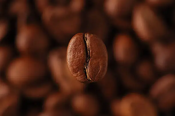 coffee-bean above coffee grains, horizontal