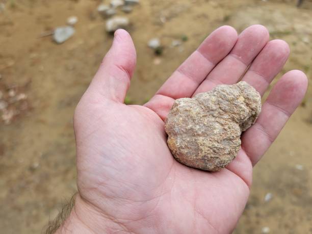 istock hand holding a geode rock geology specimen with dirt 1403834095