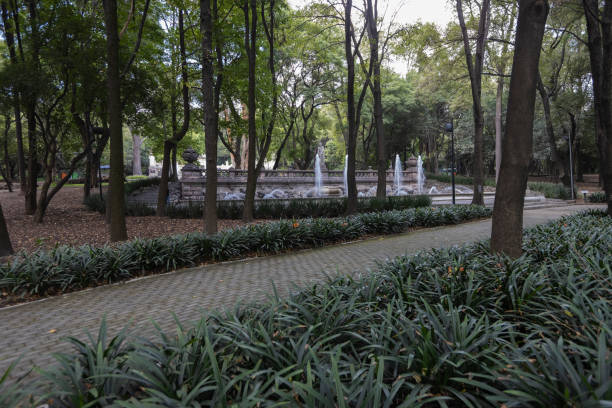 istock recreation and rest areas at Chapultepec Park, Mexico City, Mexico 1403834276