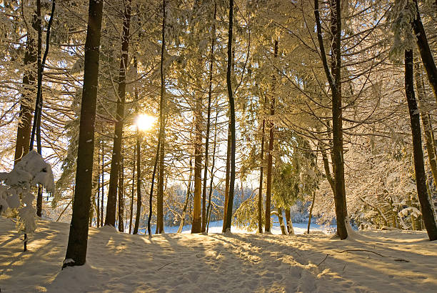 Sunrise on winter morning stock photo