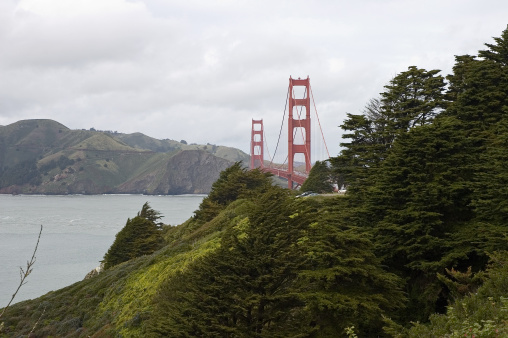 Golden Gate Bridge between the trees on a cloudy day.