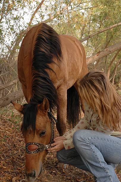istock Girl and her horse 140383649