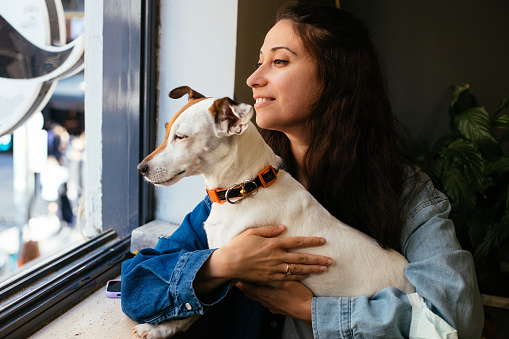 Woman holding her jack russel dog and looking out the window together