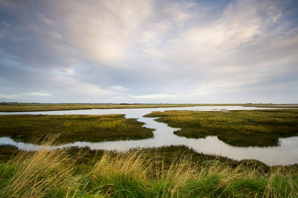 Estuary scene between Beaumont and Landermere