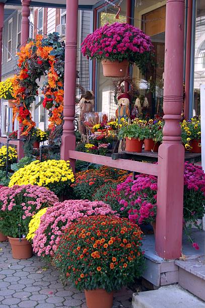 istock Country Flower Shop 140384722