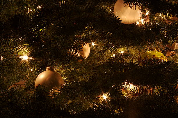 Close-up of Christmas tree with twinkle lights stock photo