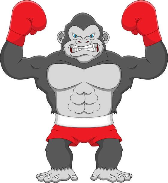 ilustrações de stock, clip art, desenhos animados e ícones de cute gorilla boxing cartoon on white background - 3675