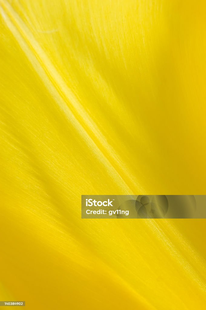 Желтый виде лепестков - Стоковые фото Абстрактный роялти-фри