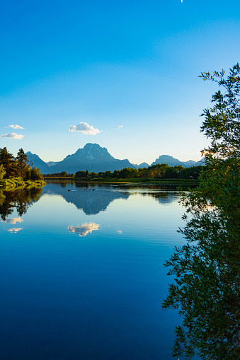 Oxbow bend, at sunset. A bend in the river, flanked by lush green foliage with mountain tops in the distance. Grand Teton National Park, Wyoming.