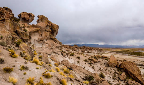 istock spacious Bolivian landscape 1403851037