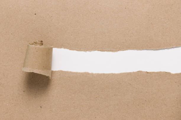 istock Ripped recycle brown paper with empty space on white 1403851098