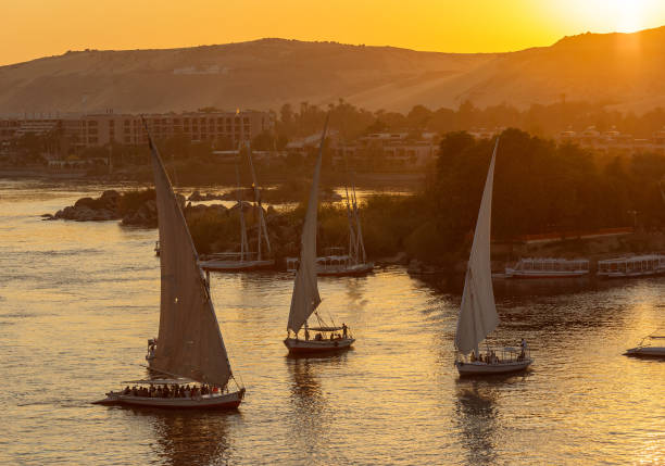 istock felucca boats on Nile river  at sunset 1403853779