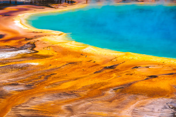 istock Grand Prismatic Springs in Yellowstone 1403854223