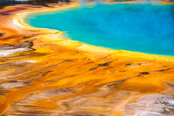 istock Grand Prismatic Springs in Yellowstone 1403854224