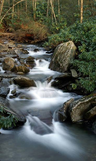 национальный парк грейт-смоки-маунтинс - water stream gatlinburg great smoky mountains national park стоковые фото и изображения