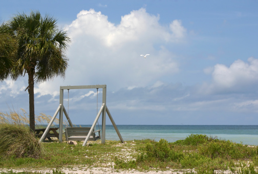 Beach at Honeymoon Island, Florida, with swing, picnic table, and palm tree