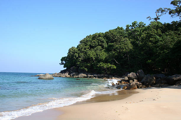 sandy beach - fotografia de stock