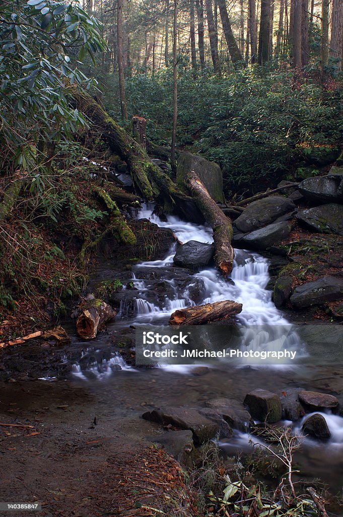 Parco Nazionale Great Smoky Mountains - Foto stock royalty-free di Acqua