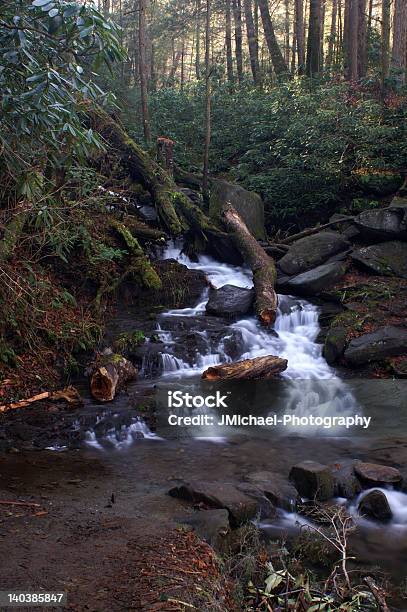 Parco Nazionale Great Smoky Mountains - Fotografie stock e altre immagini di Acqua - Acqua, Albero, Ambientazione esterna