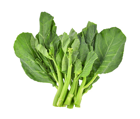 Chinese kale or Kailaan or Hong kong kale isolated on white background. Top view