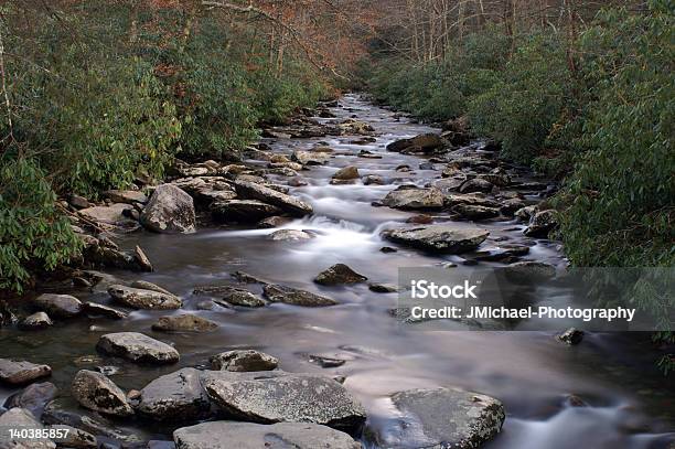 Great Smoky Mountains National Park Stockfoto und mehr Bilder von Abgeschiedenheit - Abgeschiedenheit, Bach, Baum