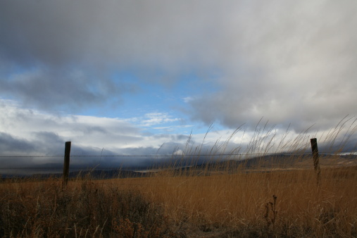 Fenced Prairie image with Golden Grass and Impressive Clouds in Idaho State