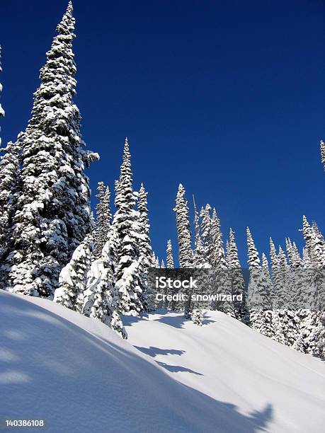 Foto de Neve Coberta De Árvores De Alpine e mais fotos de stock de Alberta - Alberta, Arborizado, Aventura