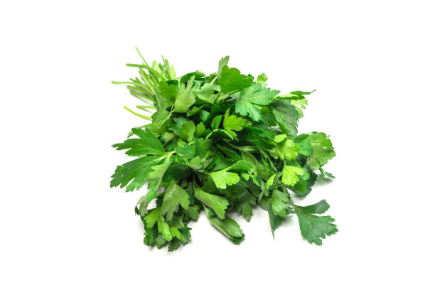istock A bunch of parsley isolated on white background. 1403862331