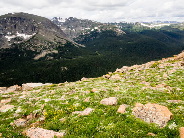 istock Rocky Mountain National Park, USA 1403862577