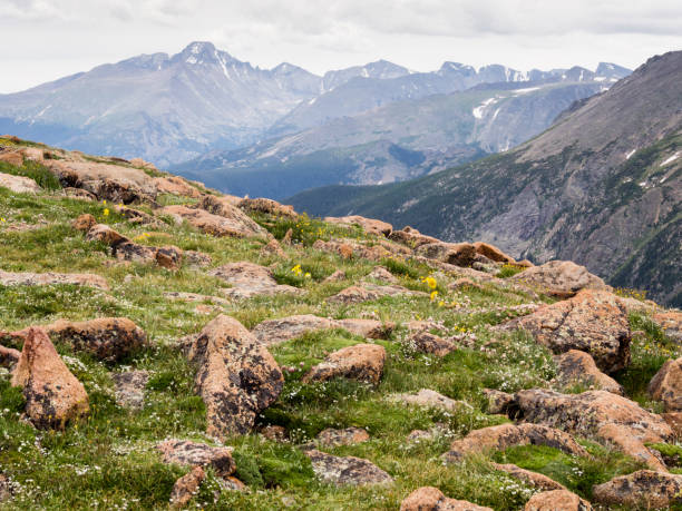 istock Rocky Mountain National Park, USA 1403862583