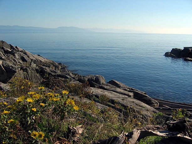 Summer Day View of Georgia Strait