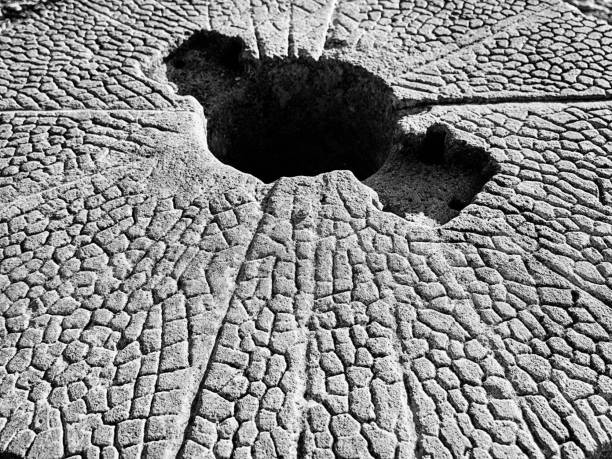 An old millstone with it's unique carved patterns is viewable outside the Fontvielle windmill. In black and white.