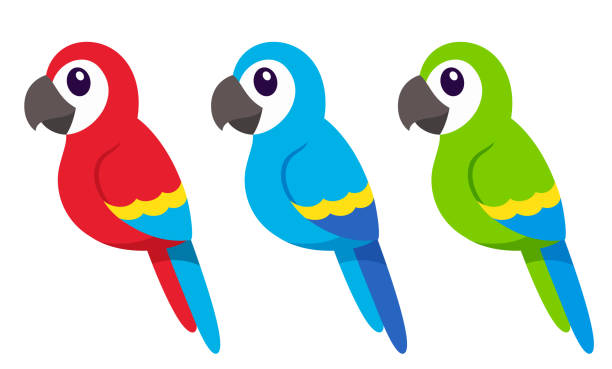 ilustrações, clipart, desenhos animados e ícones de fofo desenho de papagaios de arara de desenho - arara azul
