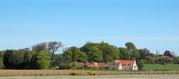 istock Farm Buildings surrounded by Trees 140386415