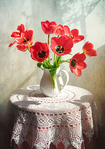 Rustic still life with flowers on a table covered with a white crocheted tablecloth. White jug with with red tulips on round table.