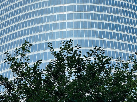 A blue facade behind the trees