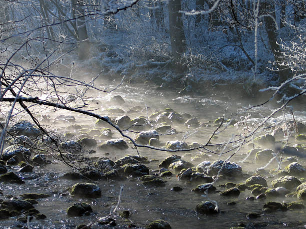 cold winter morning austria stock photo