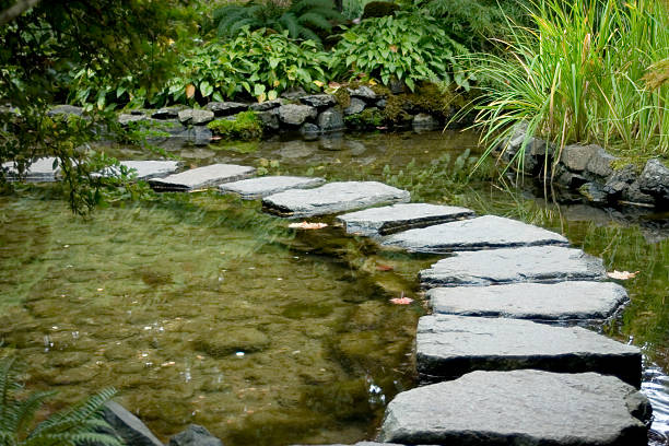 istock Trail of stepping stones in a pond 140386659
