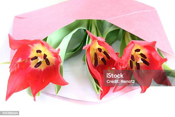 Rote Tulpen Stockfoto und mehr Bilder von Blume - Blume, Blumenbouqet, Blumenstrauß