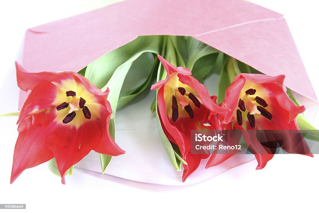 Tulipani rossi - Foto stock royalty-free di Amore