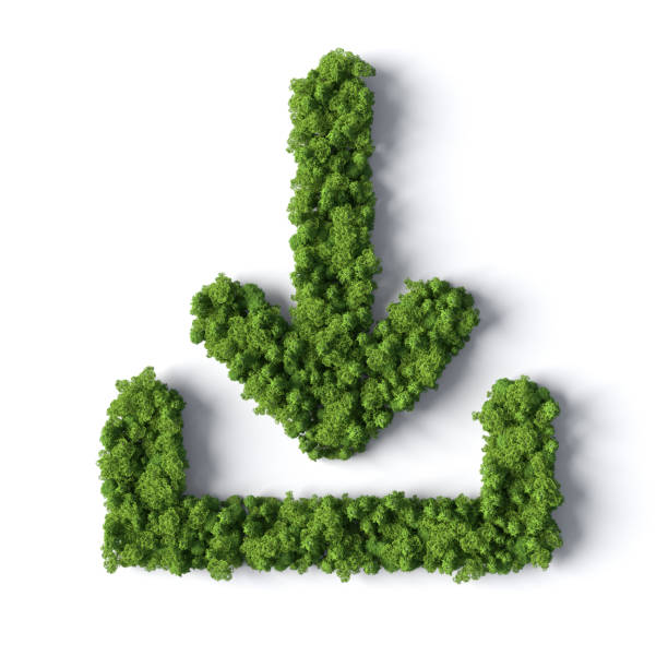 istock Downloading  symbol made from the forest 1403867520
