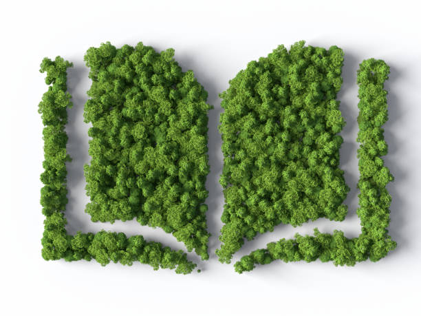 Book symbol made from the forest