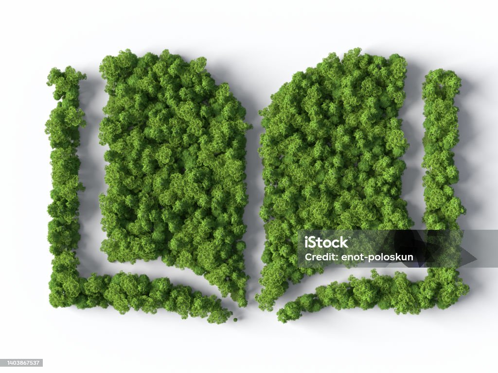 Book symbol made from the forest 3D book symbol made from the forest isolated on white Book Stock Photo
