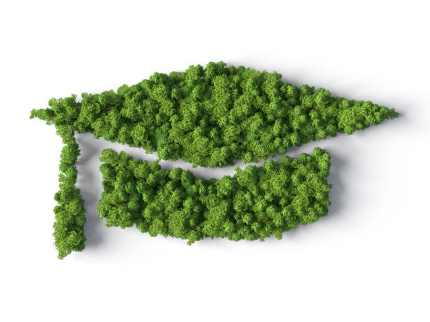 istock Graduation cap symbol made from the forest 1403867546