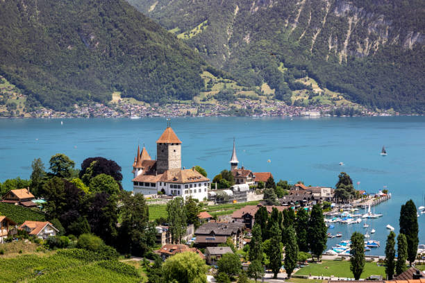 Spiez castle by the Thunersee stock photo