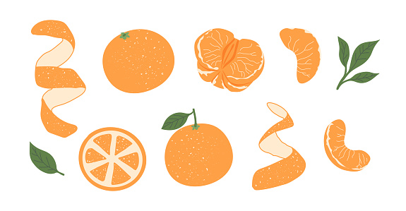 Peeled tangerine or mandarin icons set. Whole fruit, half, slices and leaves isoleted cliparts. Exotic tropical orange citrus fruit drawing