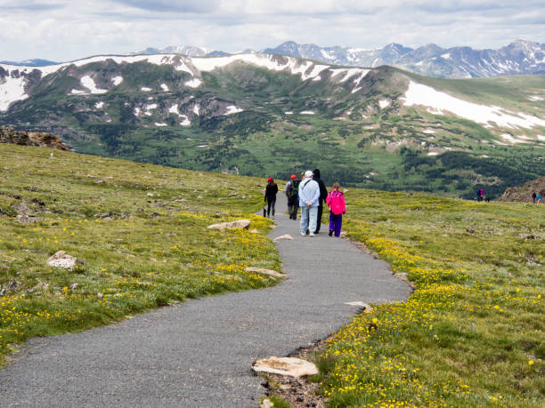 visitantes caminando por el sendero a lo largo de la carretera trail ridge - rocky mountian fotografías e imágenes de stock